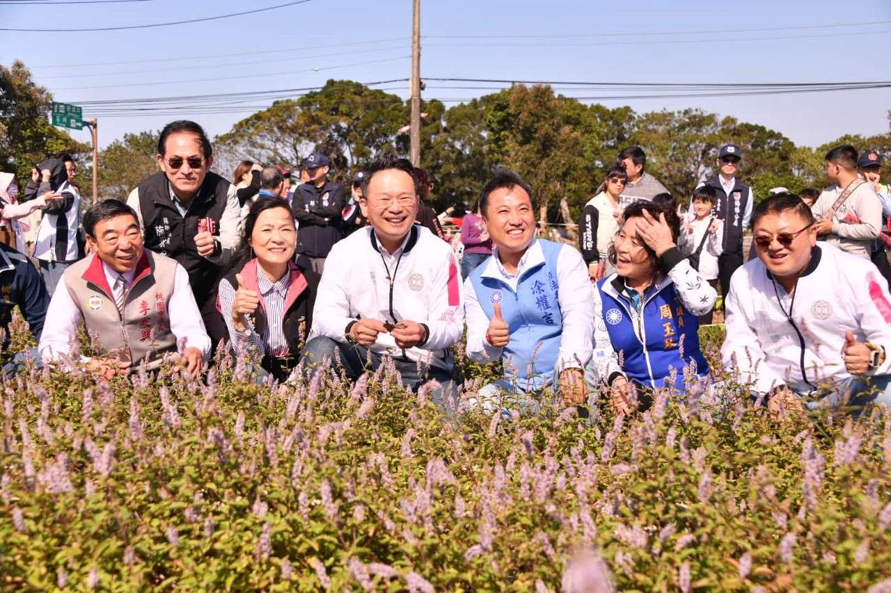 桃園仙草嘉年華熱鬧登場 蘇俊賓讚花海美如普羅旺斯 S 34259106