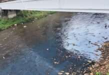 台茂多次排廢水污染大坑溪 桃園環保局:最高可罰2000萬