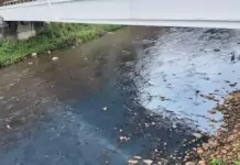 台茂多次排廢水污染大坑溪 桃園環保局:最高可罰2000萬 台茂多次排廢水污染大坑溪 桃園環保局:最高可罰2000萬