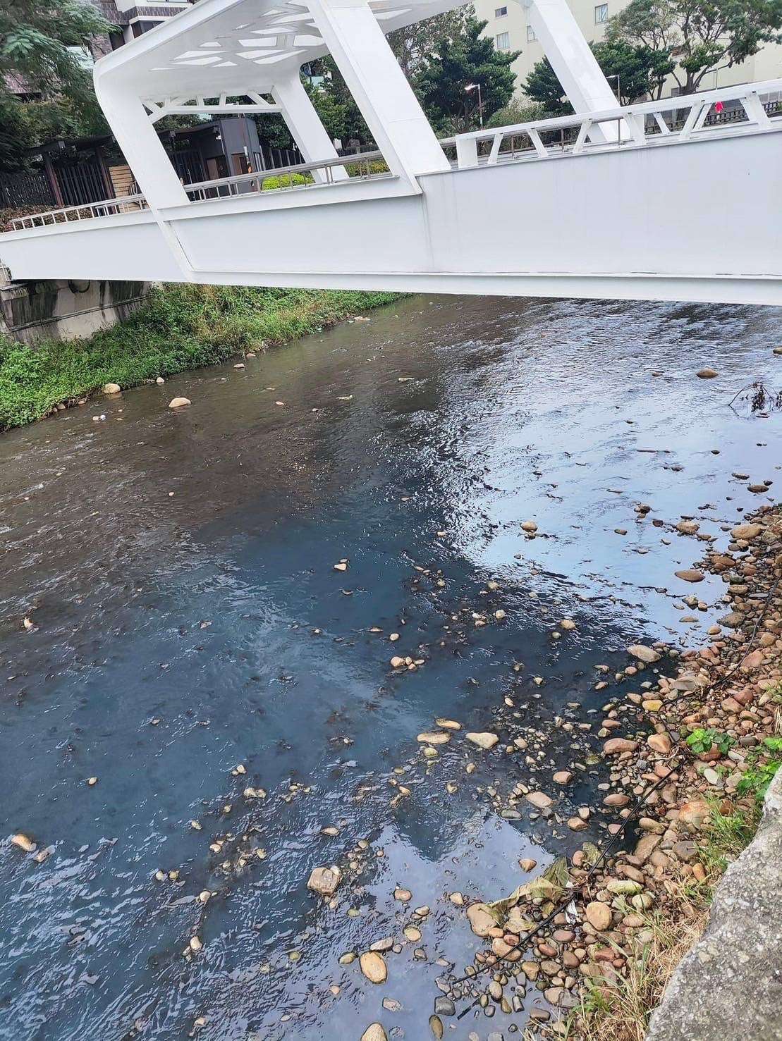 台茂多次排廢水污染大坑溪 桃園環保局:最高可罰2000萬 S 34791431 0