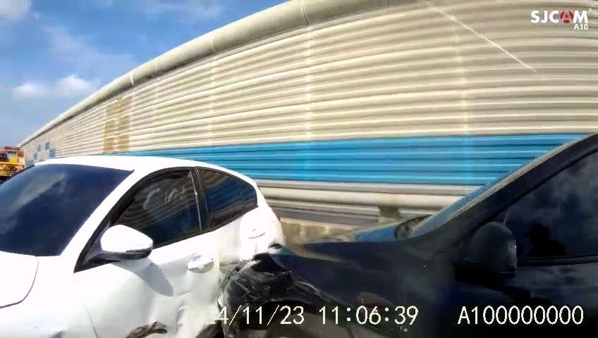 超驚險!國道2號兩車碰撞 愛犬衝出亂竄警急圍捕 S 42680415