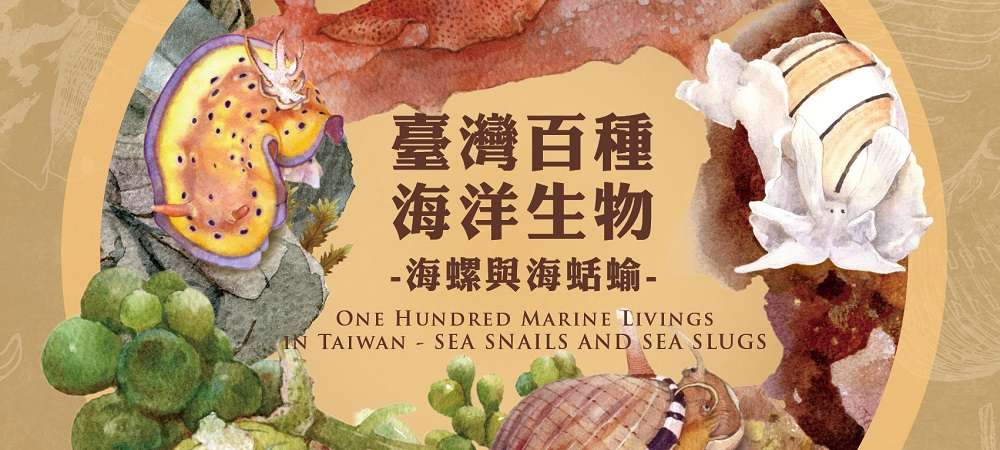 海保署出版 《臺灣百種海洋生物》系列圖鑑第5集 揭開海螺與海蛞蝓神秘面紗