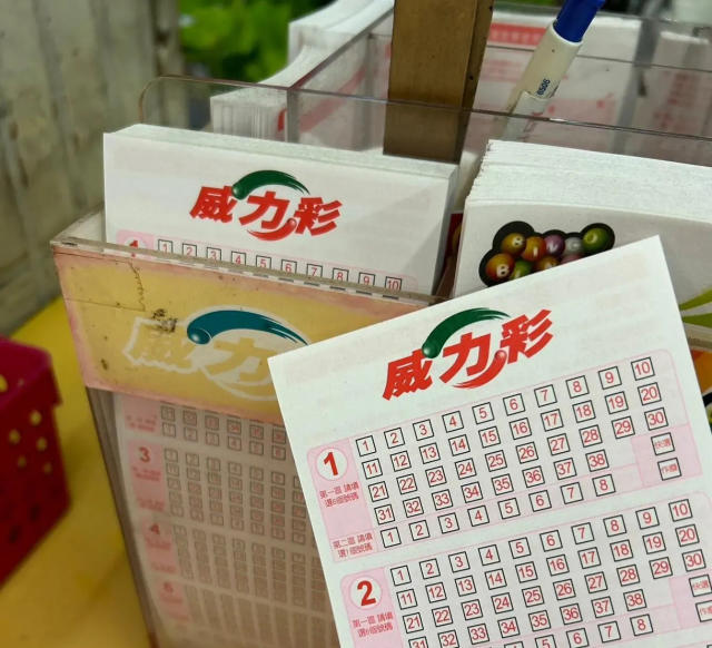 集資買彩券中6.31億 拿不出「這東西」多課4000萬稅