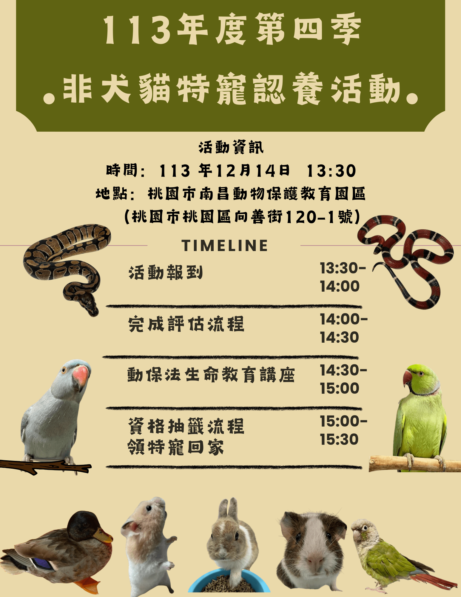 桃園南昌動保教育園區明開幕 舉辦特殊寵物認養活動 113年度第四季 非犬貓特寵認養活動
