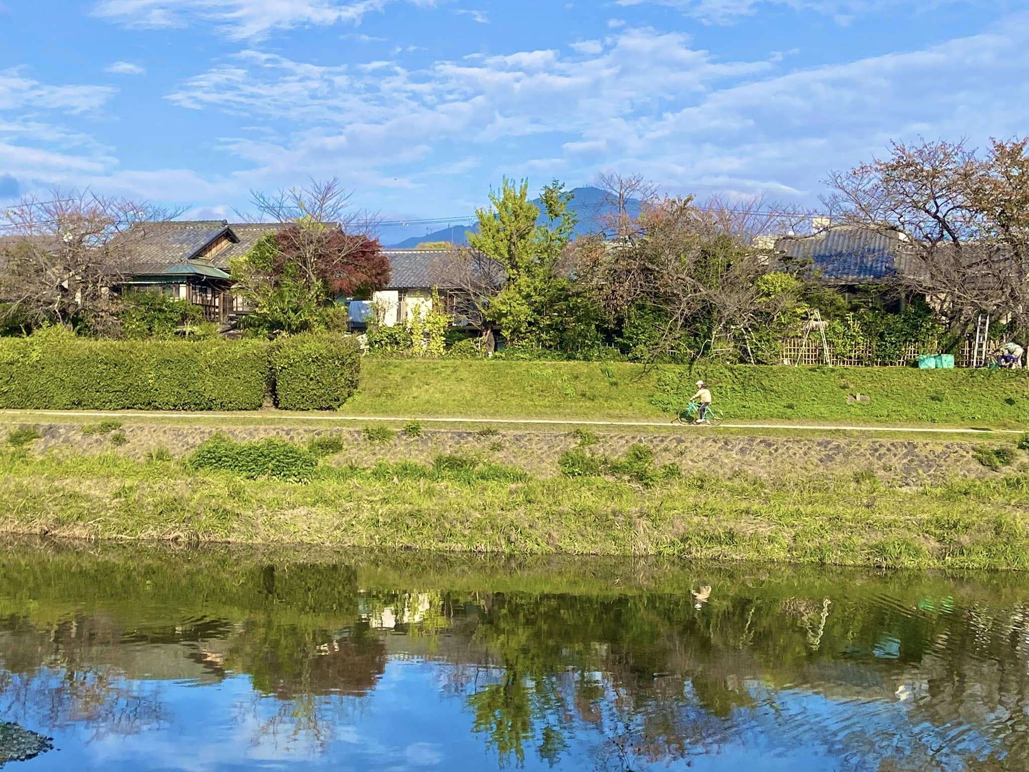 副刊/叡山電鐵出城尋幽,再沿著鴨川閒閒晃 1213鴨川