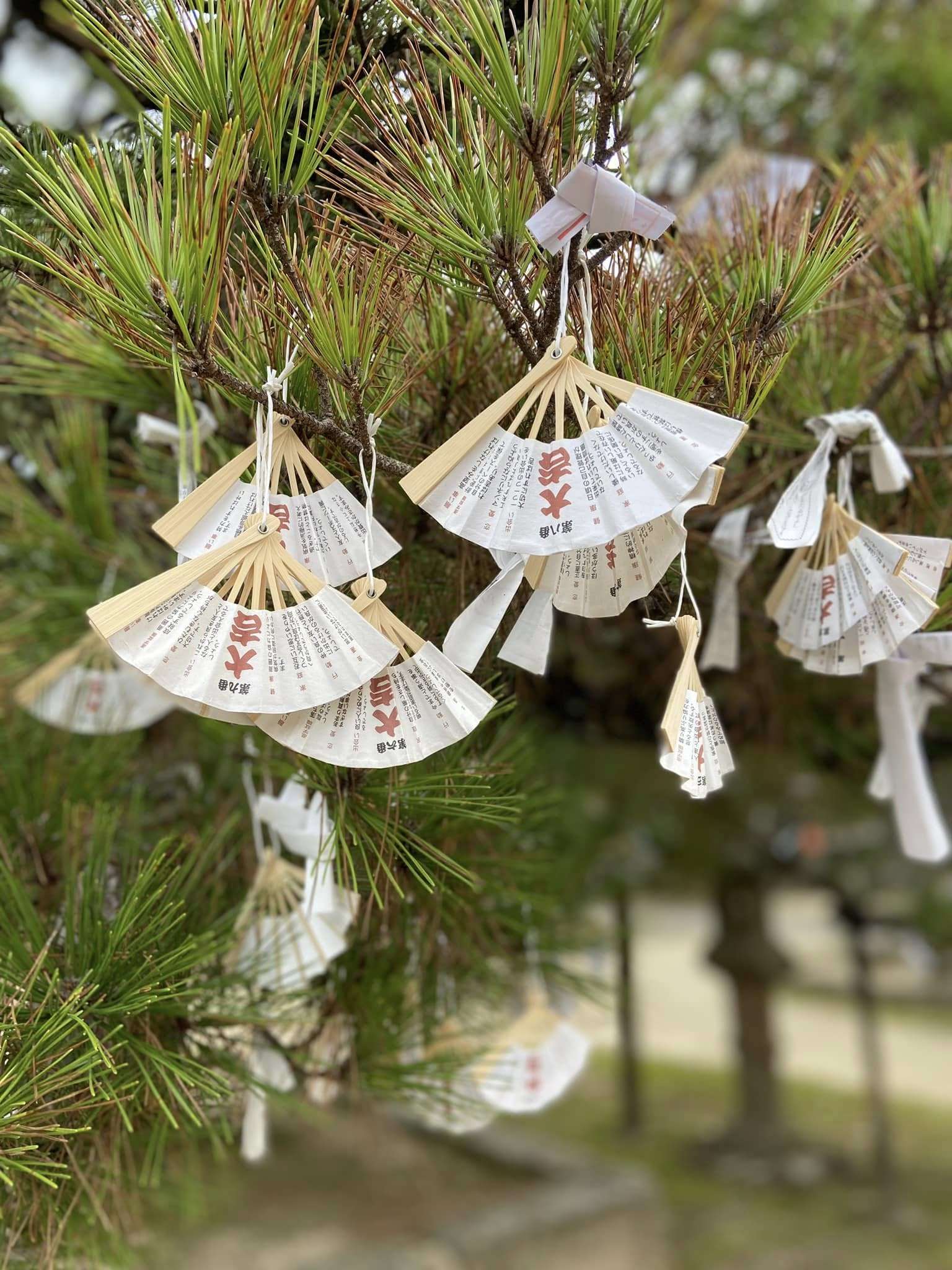 副刊/海之京都 1227副刊天橋立智恩寺 0