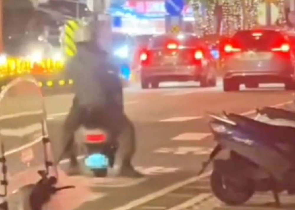 【有片】馬路上危險「翹孤輪」 警:可吊扣牌照6個月 1540018 0 1