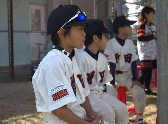 關懷盃棒球賽結合AI科技 國體大助力實況轉播選手英姿 1733019147604 0