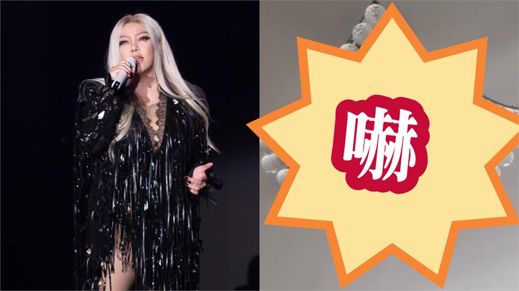 張惠妹大巨蛋嗨唱三天三夜 里長曝「家中狂晃片」