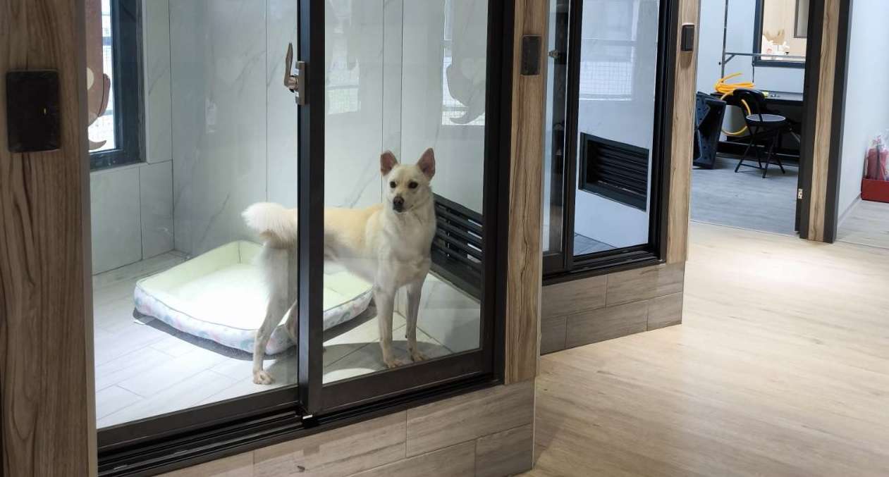 桃園南昌動保教育園區明開幕 舉辦特殊寵物認養活動