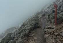 大陸冷氣團發威 玉山披上霧淞美成人間仙境