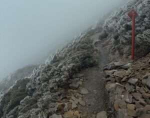 大陸冷氣團發威 玉山披上霧淞美成人間仙境