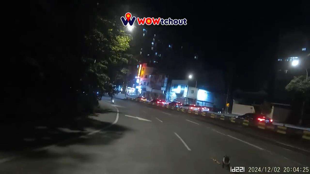 【有片】驚險!寵物犬跳下機車 後方騎士差點撞上 6454545