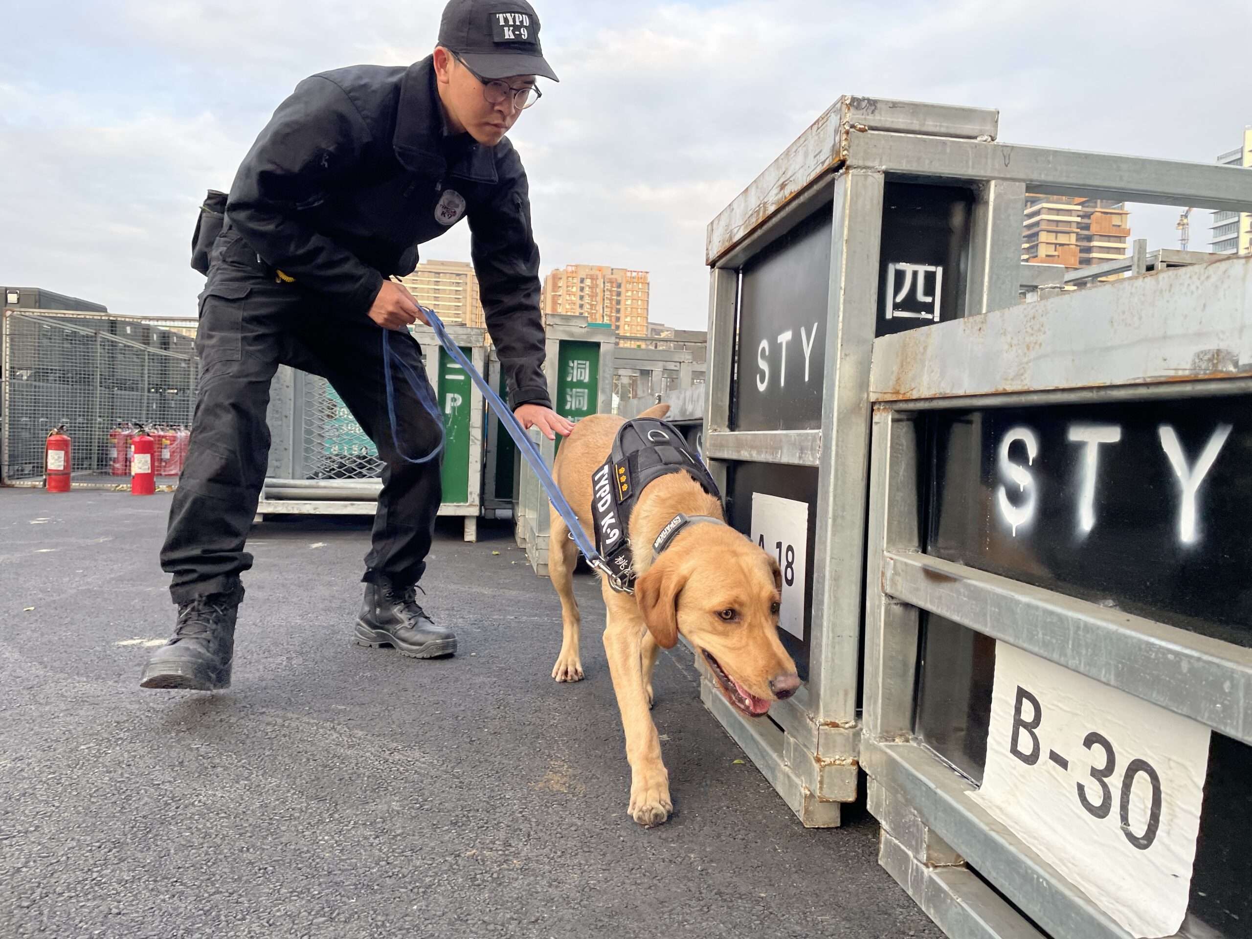 壢警全力守護跨年晚會安全 桃園警犬隊也出動 S 11403281 0 scaled