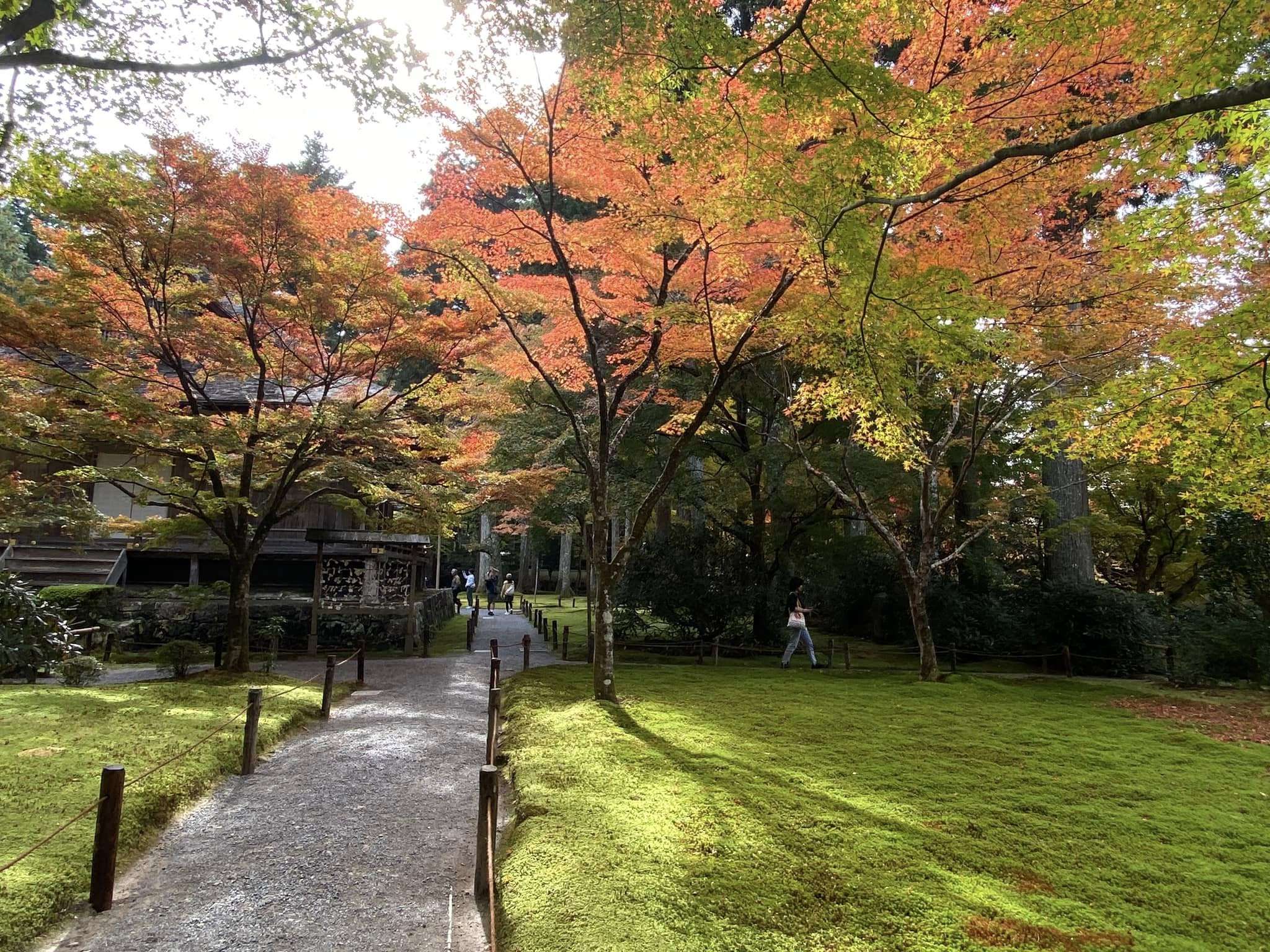 副刊/大原三千院,寂光院 0112三千院有清園 0