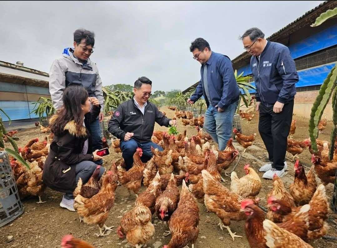 提升農業競爭力 蘇俊賓盼桃園成「無抗養殖」領航城市 1051185 0