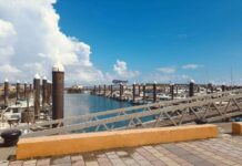 桃園海岸魅力滿點 竹圍永安雙漁港賞景品鱻超人氣