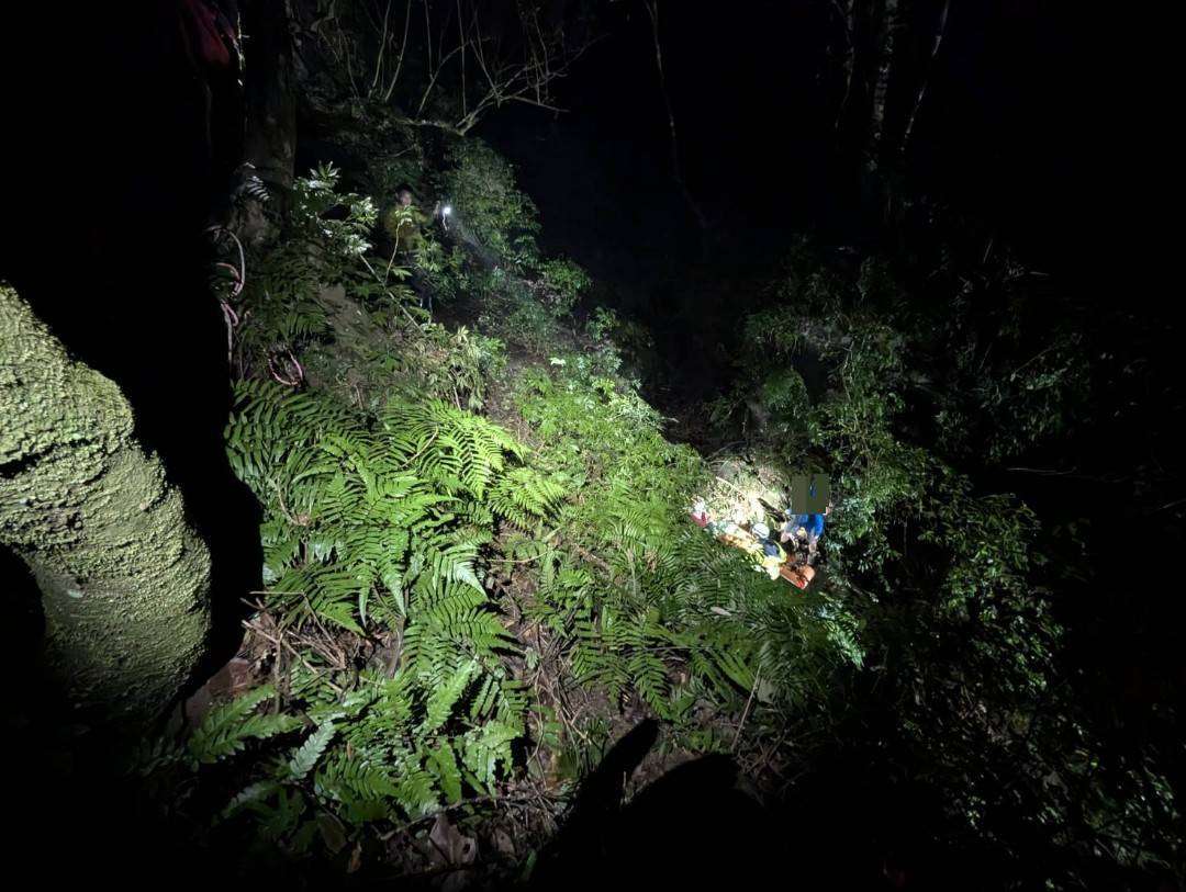 省錢不要命?不想買東眼山門票「冒險穿越密林」 情侶受困邊坡失溫 1572984 0