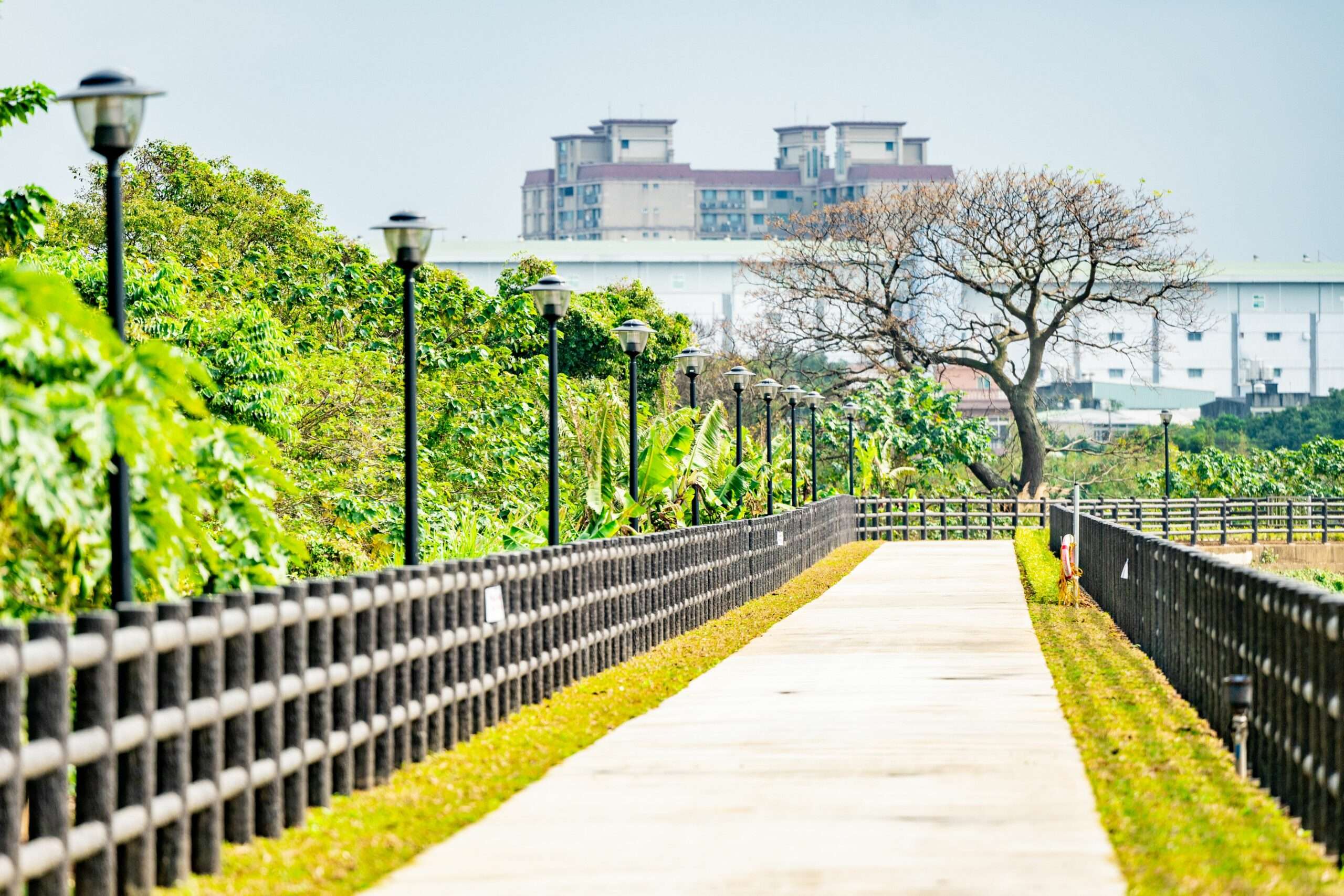 桃園大圳1-4號埤塘環湖步道完工啟用 提供優質友善環境 23b867ea 99ae 4497 a79e b0b7e45f9704 scaled