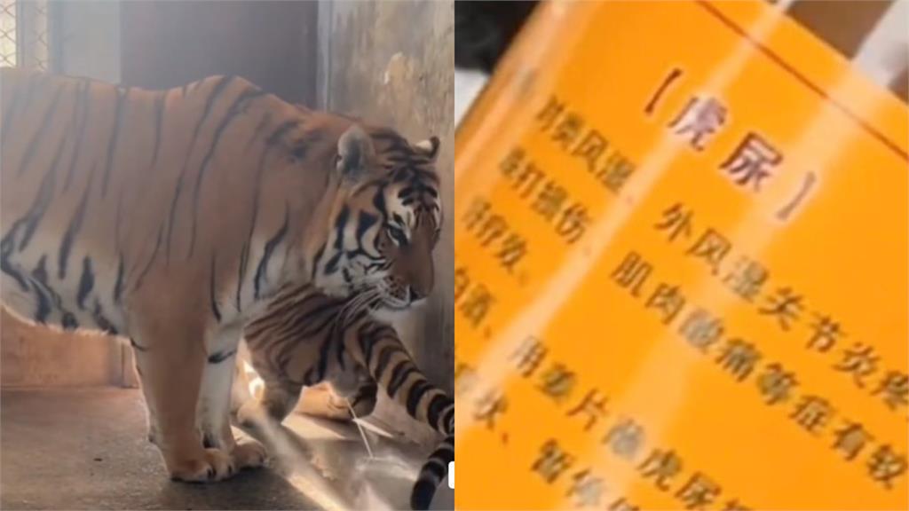 野生動物園賣「虎尿」 網質疑商家噱頭