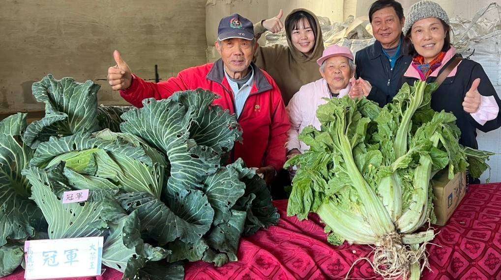 楊梅農民節大會登場 巨型芥菜、高麗菜超吸睛 423628