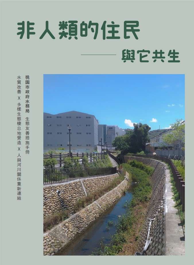南崁溪蝶變綠意河岸 桃園水務局展現治水與生態共榮成果 518368 0