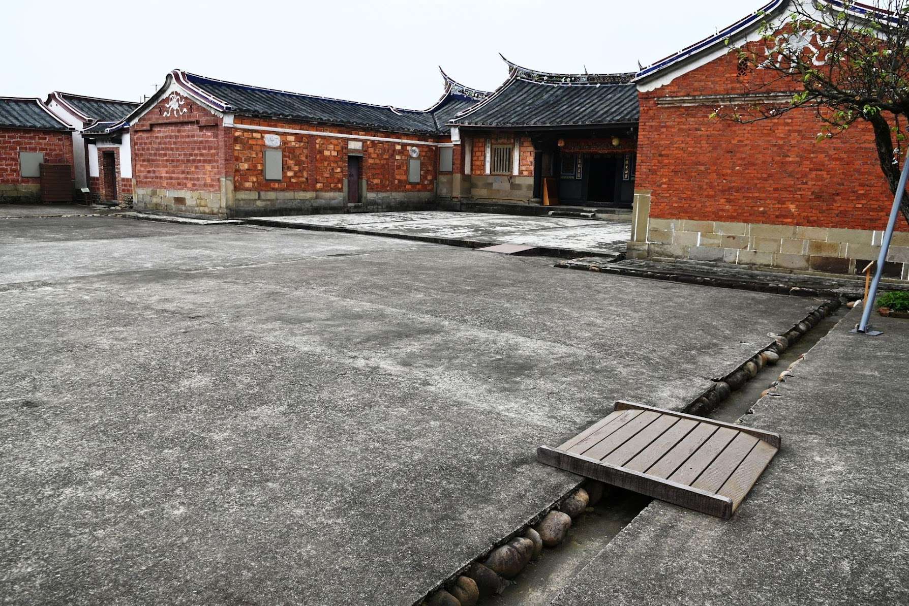 蛇年走春趣!盤點桃園各大休閒農業區 享受山與海的熱情呼喚 DSC 0622