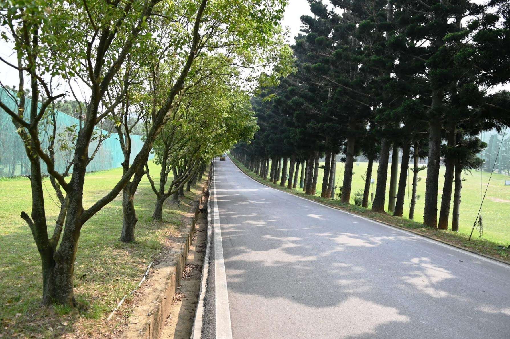蛇年走春趣!盤點桃園各大休閒農業區 享受山與海的熱情呼喚 DSC 0707