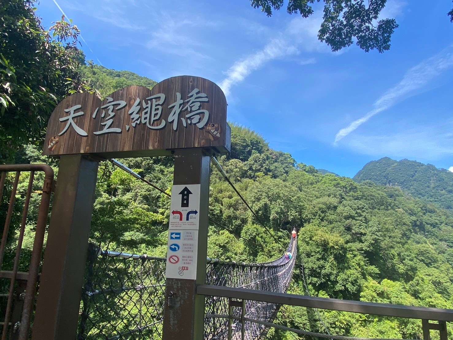 春節玩轉北橫!桃園大溪復興賞花踏青美景一網打盡 S 17072510 0