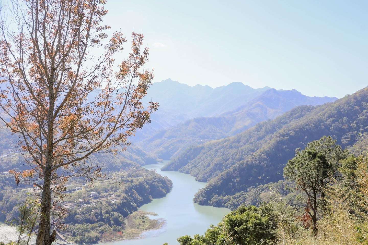 北橫梅花、山櫻花接力綻放 桃園觀旅局推薦過年到角板山享受美景與美食 S 17105318 0