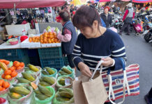 桃園環保局推廣春節淨零指引 盼市民共同打造低碳家園