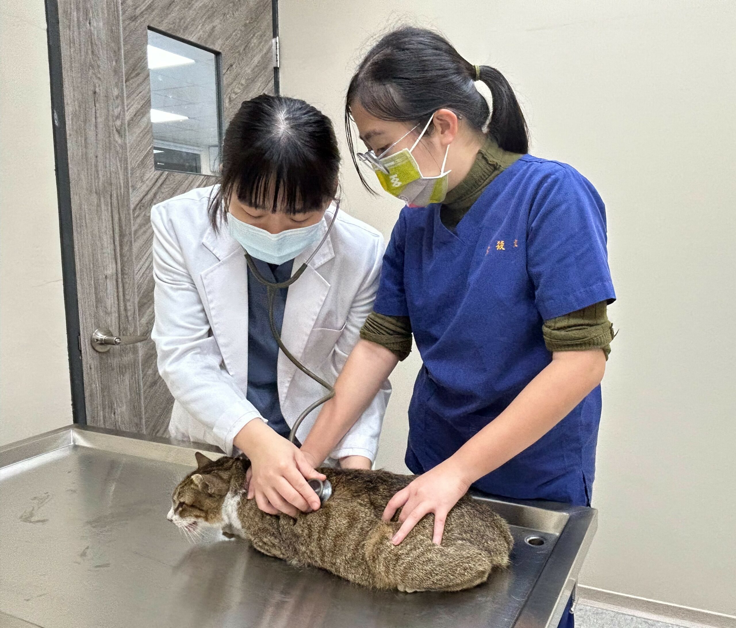 桃園表彰獸醫師辛勞付出 盼共築寵物友善環境 S 221560838 0 scaled