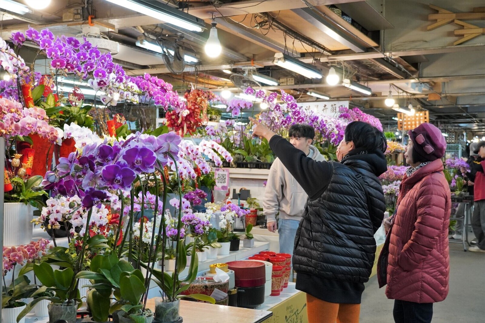 春暖花開迎蛇年!板橋花市「延長營業時間」 除夕也買得到