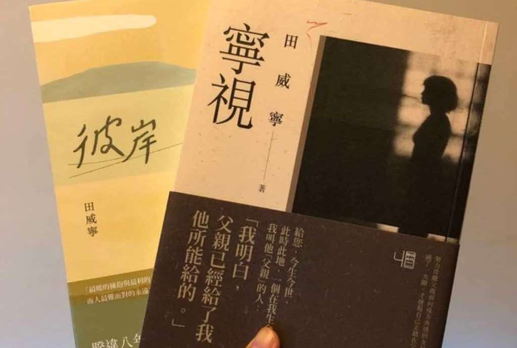 副刊/那些念念不忘的過往,是否能退一步再看?——讀田威寧《寧視》與《彼岸》