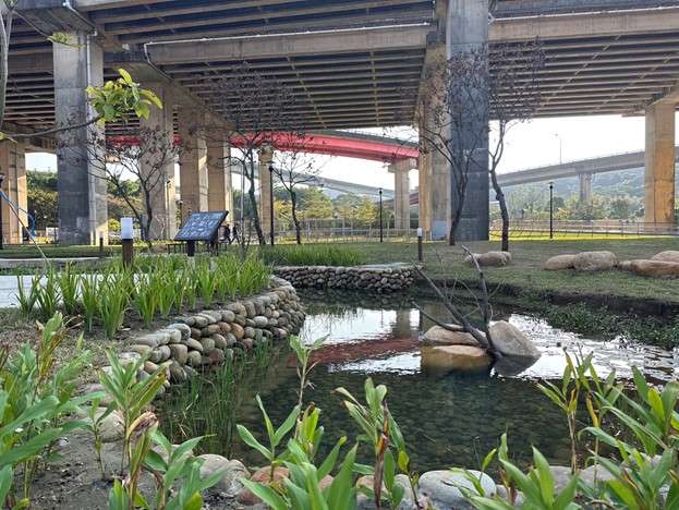 平鎮運動公園打造特色遊戲場 亮點一次看 圖8 水域自然探索區