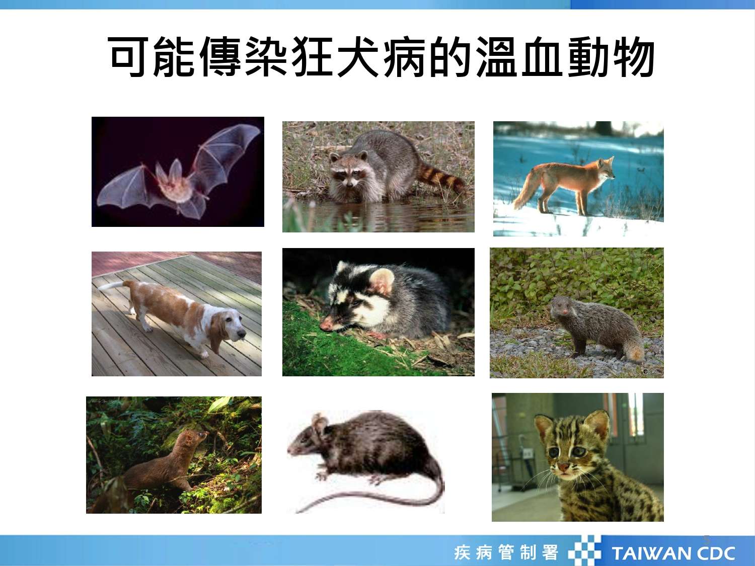 預防致命狂犬病 北榮桃園分院建議這樣做 狂犬病防治核心教材 20190503 5 page 0001 0