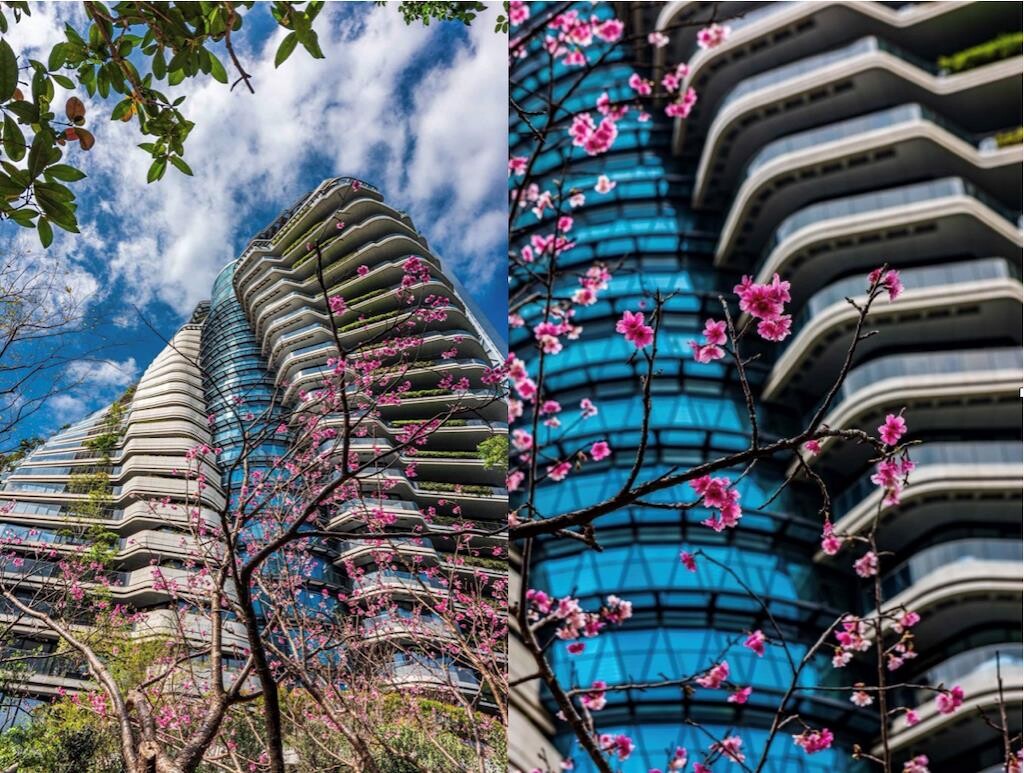 「陶朱隱園」佇立7年正式開賣! 業者曝「最低入手價」