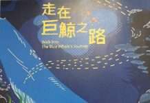 近距離賞鯨!海生館限定特展帶你探索鯨豚奧秘