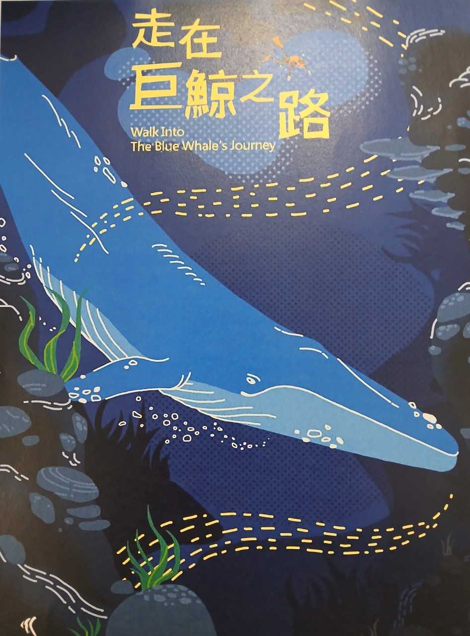 近距離賞鯨!海生館限定特展帶你探索鯨豚奧秘 123465486