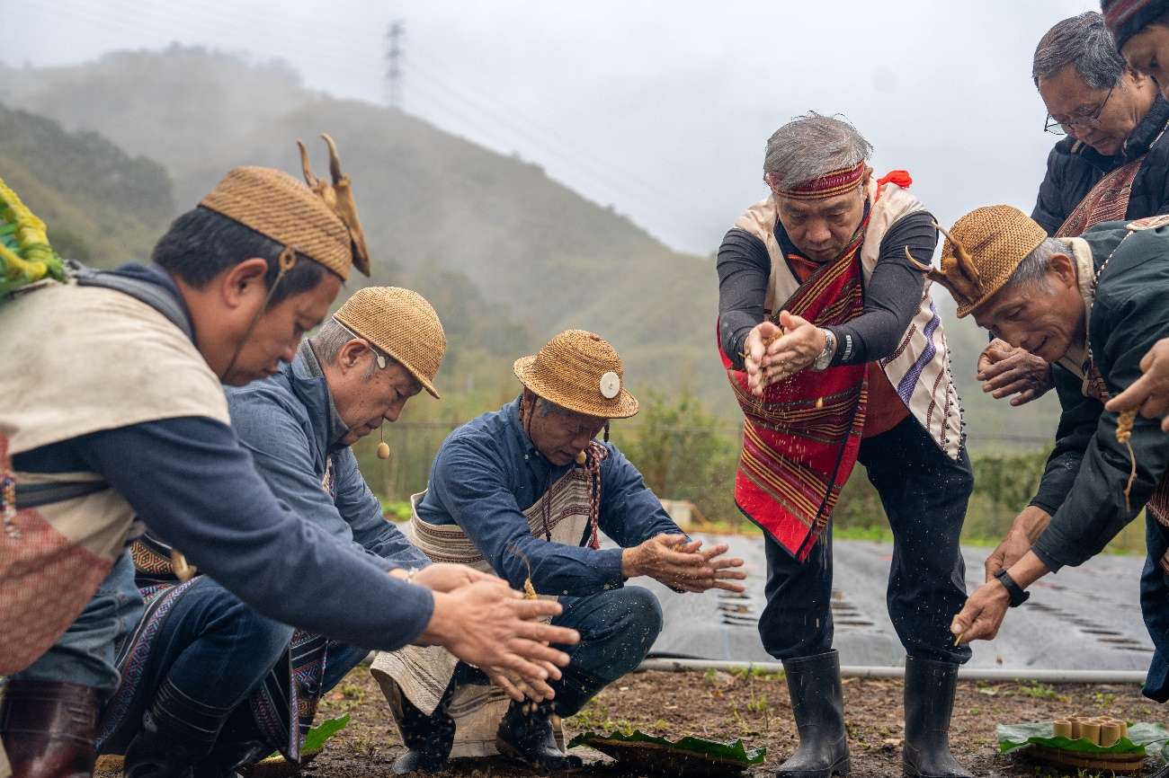 復興區小米播種祭登場 百人撒下種子傳承泰雅文化 1235648
