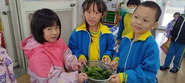 傳承本土文化!龍岡國小學子親手作鹹菜 學習客家智慧 124256 0