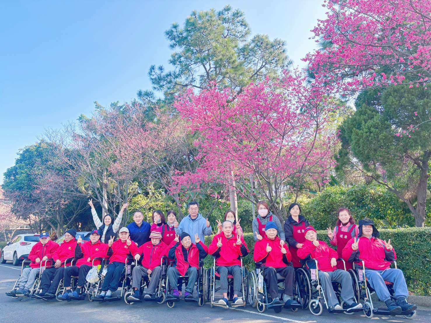 桃園榮家櫻花季登場 長輩開心拍美照抽小禮物 1454651 2