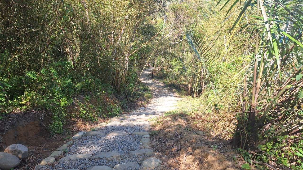 桃園秘境之旅 高遶溪古圳步道探索大自然與泰雅歷史 164080 0