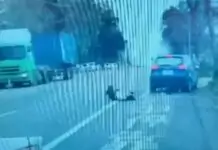 【有片】龍潭直行轎車撞左轉機車 女騎士送醫不治 【有片】龍潭直行轎車撞左轉機車 女騎士送醫不治