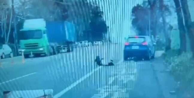 【有片】龍潭直行轎車撞左轉機車 女騎士送醫不治 1739426206592 e1739426424511