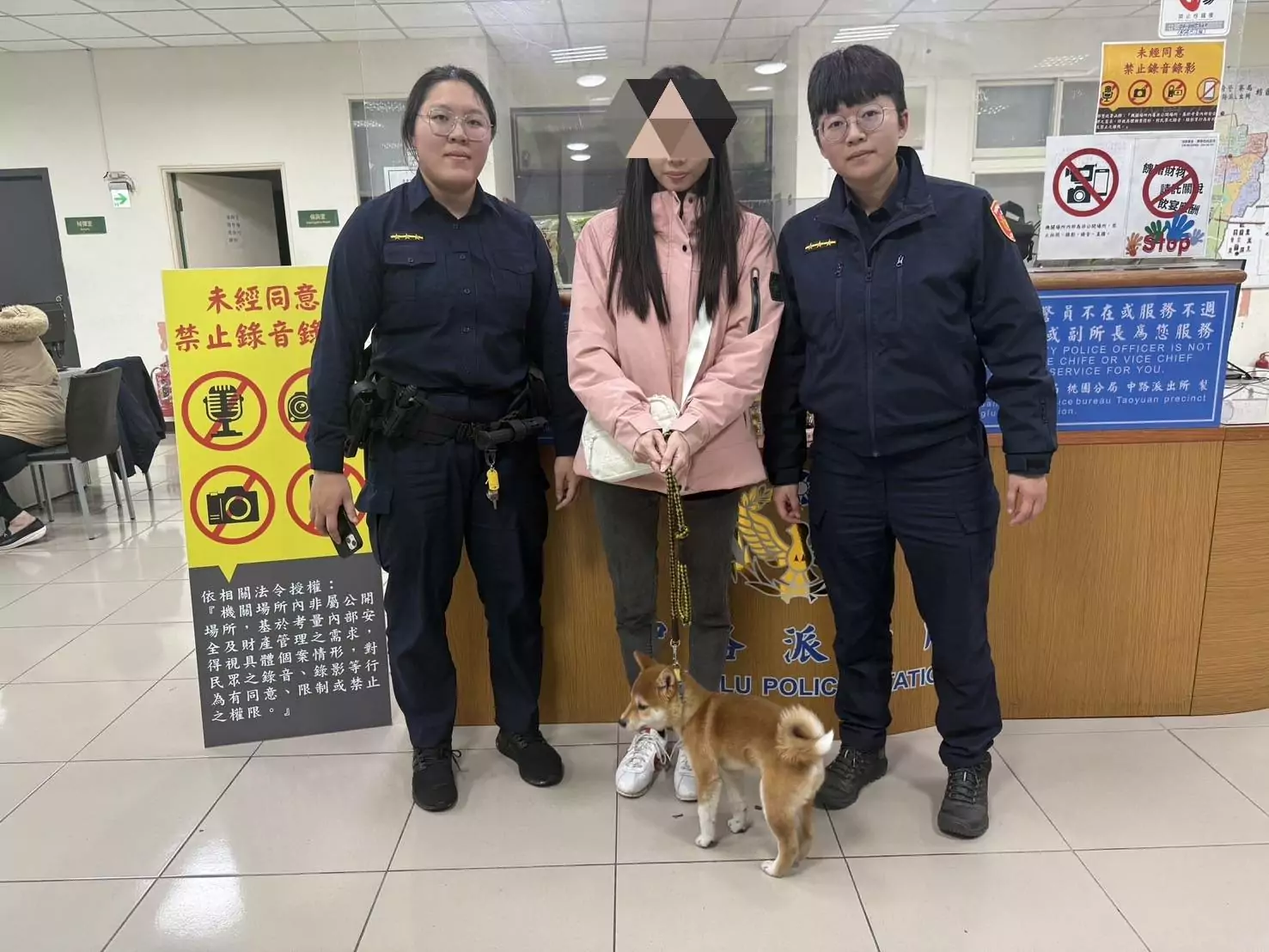 柴犬逛燈會太興奮走失 桃警助尋找飼主 柴犬逛燈會太興奮走失 桃警助尋找飼主