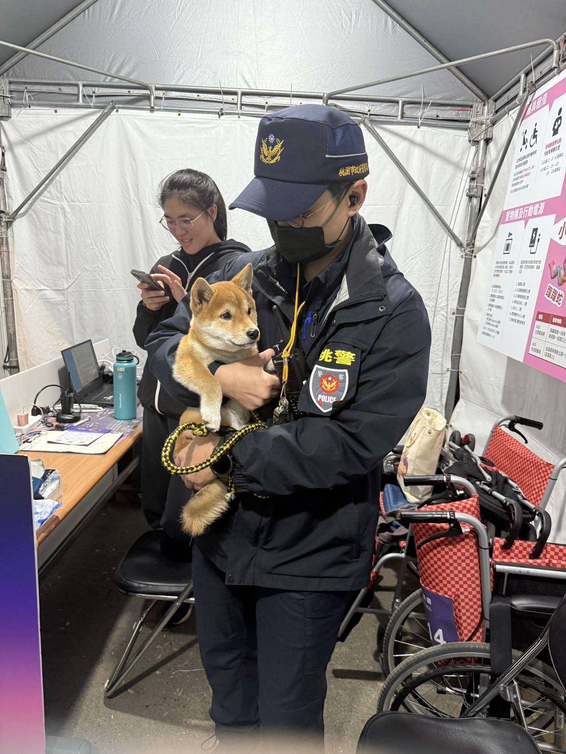 柴犬逛燈會太興奮走失 桃警助尋找飼主 2074298 0