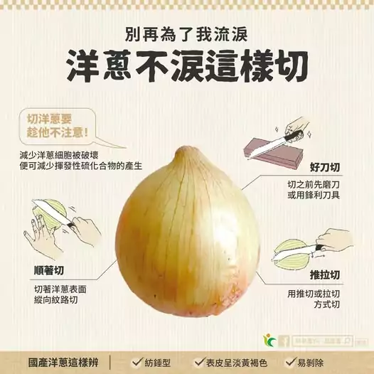 快學起來!洋蔥這樣切 不再「淚流滿面」 473592779 925014559777175 5694188078629495628 n
