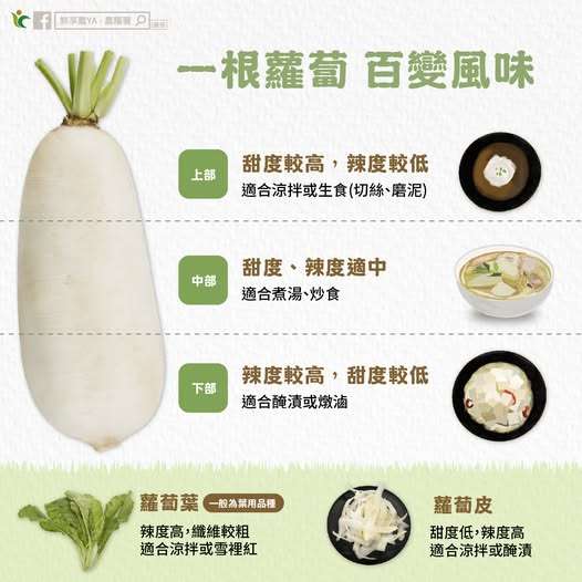 蘿蔔怎麼吃最對味?農糧署曝5部位最佳吃法 477520624 943962954549002 4006690100575692199 n
