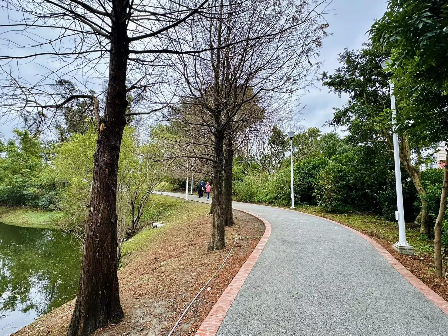 桃園工務局改善士校埤塘生態公園整體環境 打造宜居城市 桃園工務局改善士校埤塘生態公園整體環境 打造宜居城市